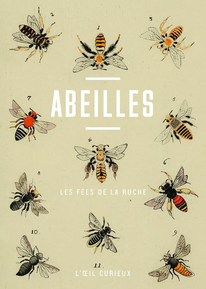 Abeilles - Les fées de la ruche 