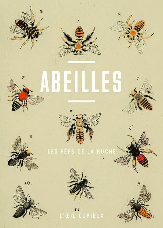 Abeilles - Les fées de la ruche 