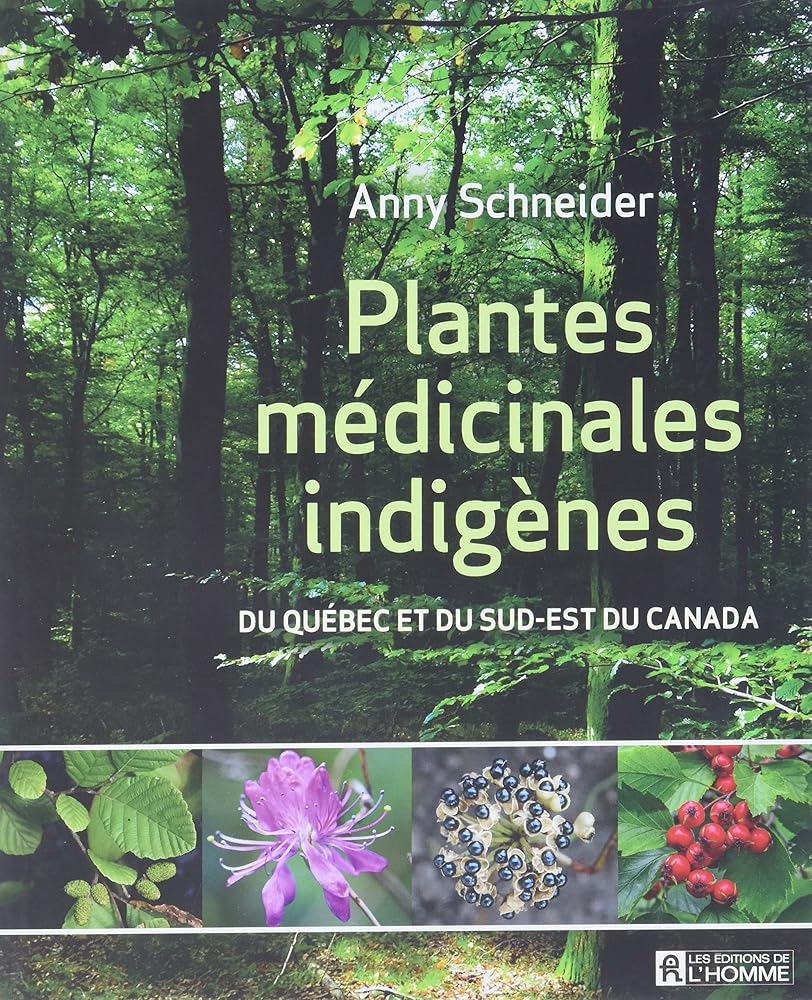 Plantes médicinales indigènes : du Québec et de l'est du Canada par Anny Schneider