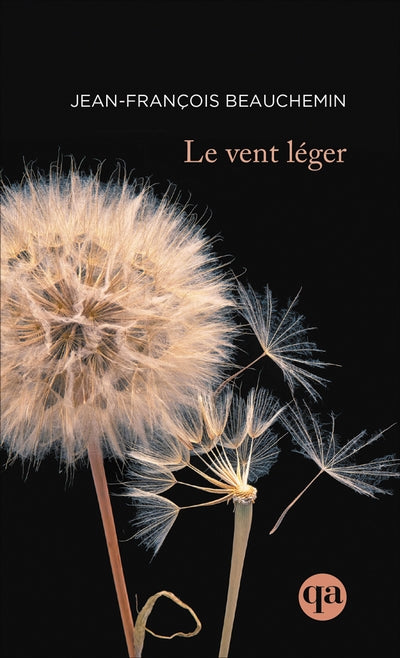 Le vent léger par Jean-François Beauchemin