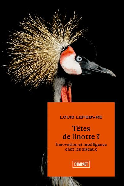 Têtes de linotte? : Innovation et intelligence chez les oiseaux par Louis Lefebvre
