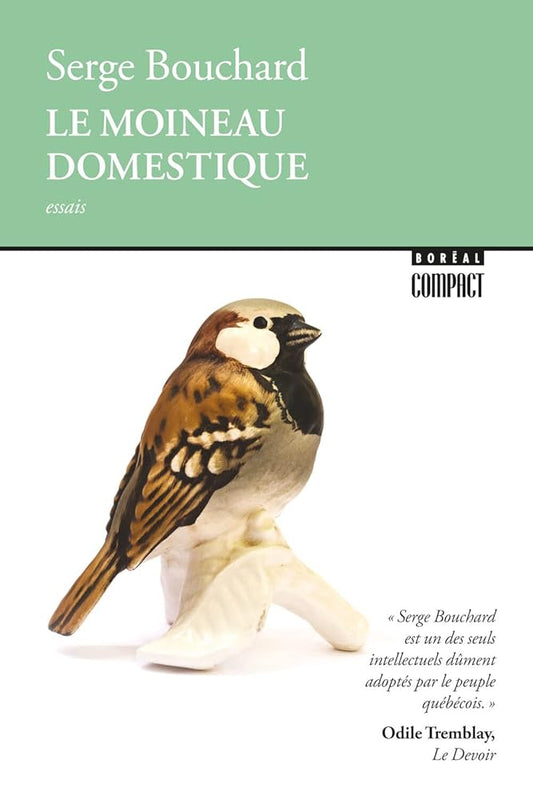 Le moineau domestique par  Serge Bouchard