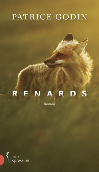 Renards par Patrice Godin