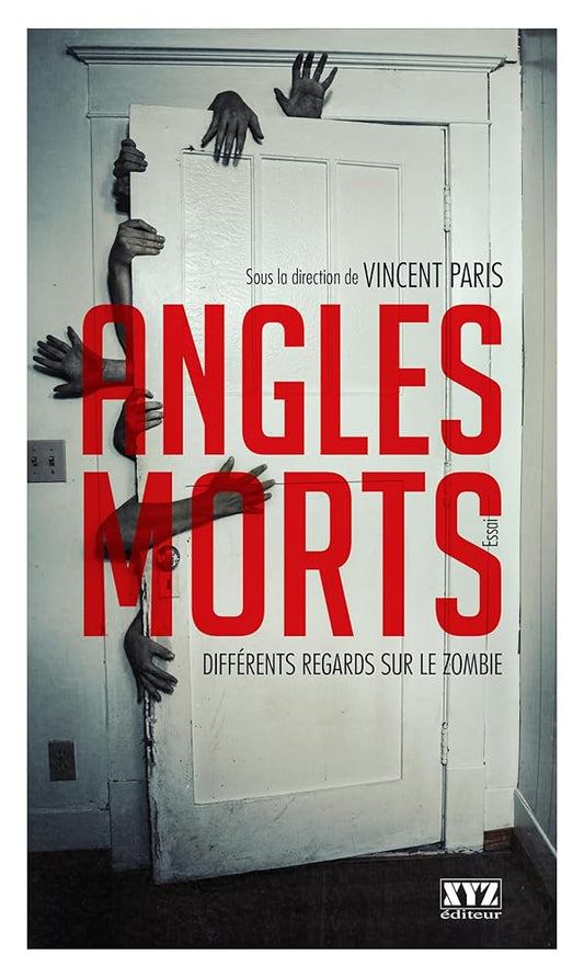 Angles morts : Différents regards sur les zombies livre Vincent Paris