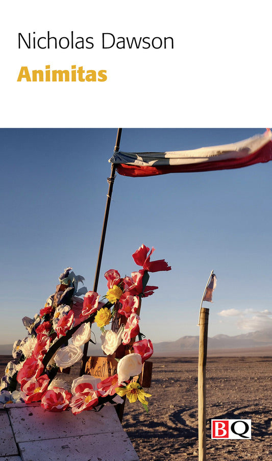 Animitas par Nicholas Dawson