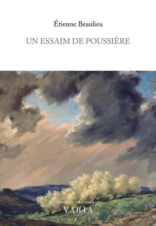 Un essaim de poussière par Étienne Beaulieu
