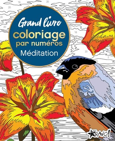 Grand livre de coloriage par numéros - Méditation par David Woodroffe