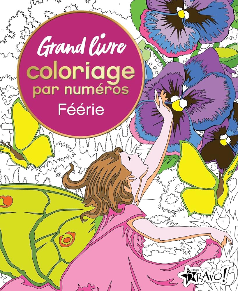 Grand livre de coloriage par numéros - Féérie par David Woodroffe, Else Lennox
