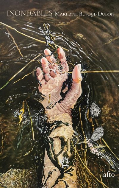 Inondables par Marilyne Busque-Dubois
