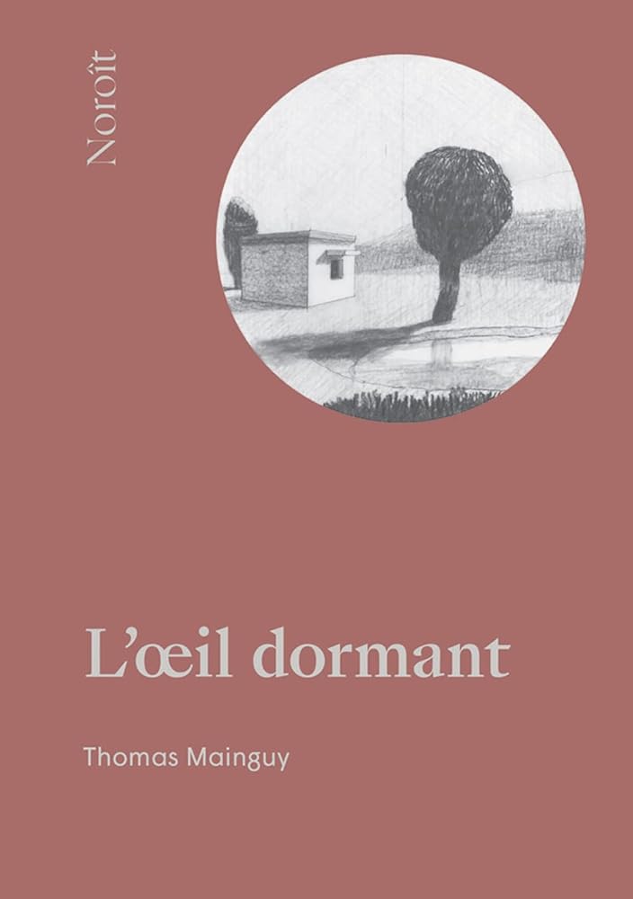L'oeil dormant par Thomas Mainguy