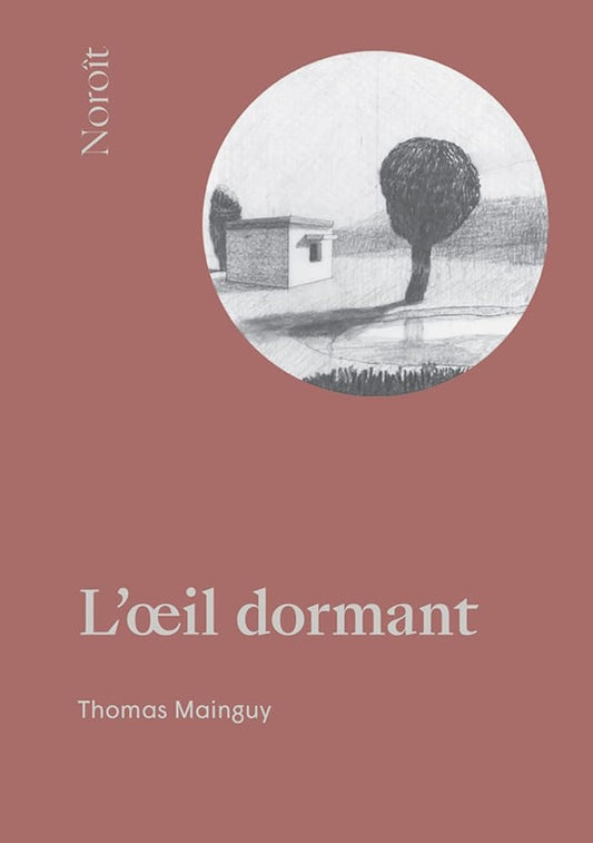 L'oeil dormant par Thomas Mainguy