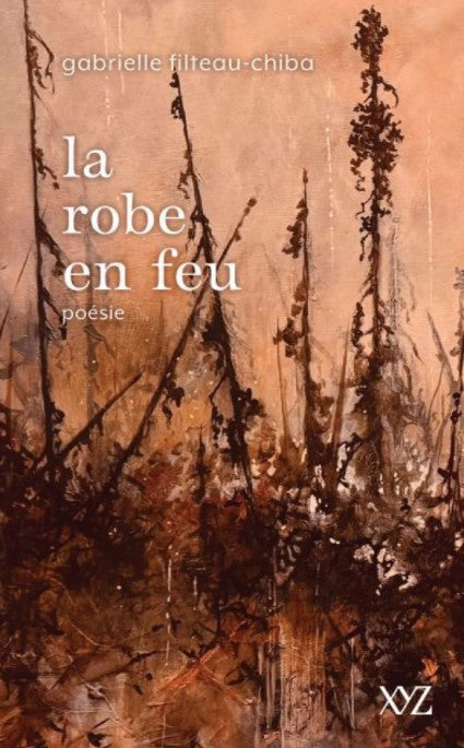 La robe en feu par Gabrielle Filteau-Chiba