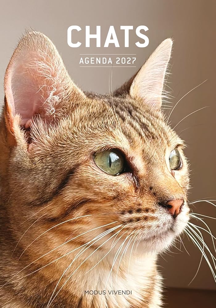 Chats - Agenda 2027 : En compagnie de nos chats par Collectif