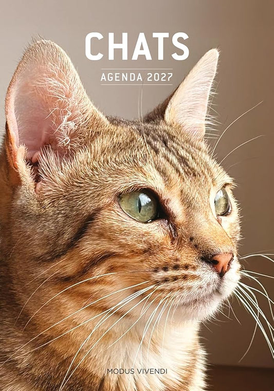 Chats - Agenda 2027 : En compagnie de nos chats par Collectif