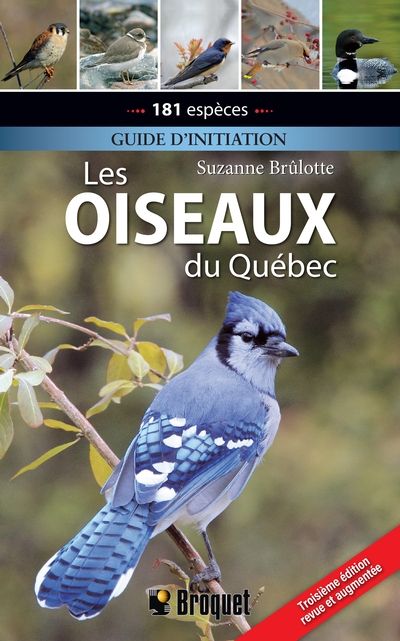 Les oiseaux du Québec : Guide d'initiation par Suzanne Brûlotte
