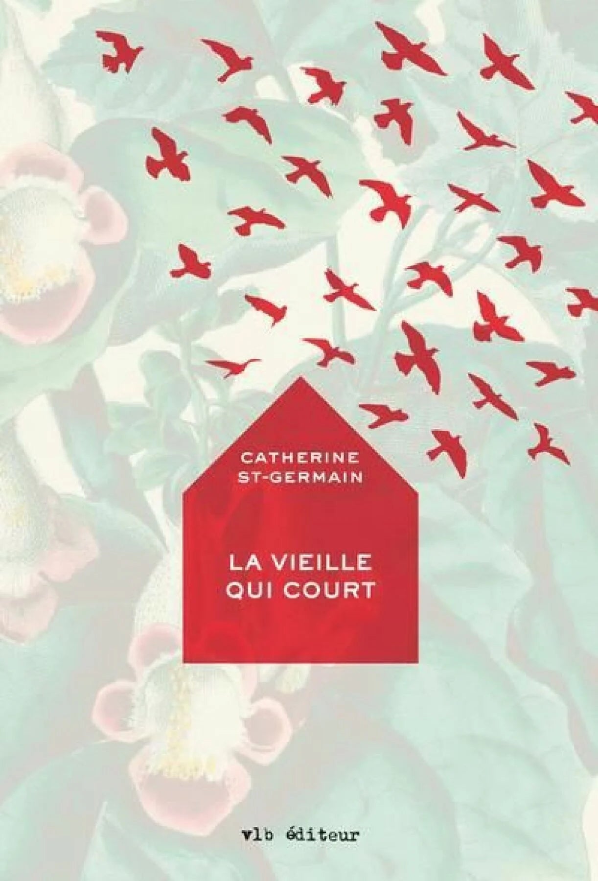 La vieille qui court Catherine St-Germain