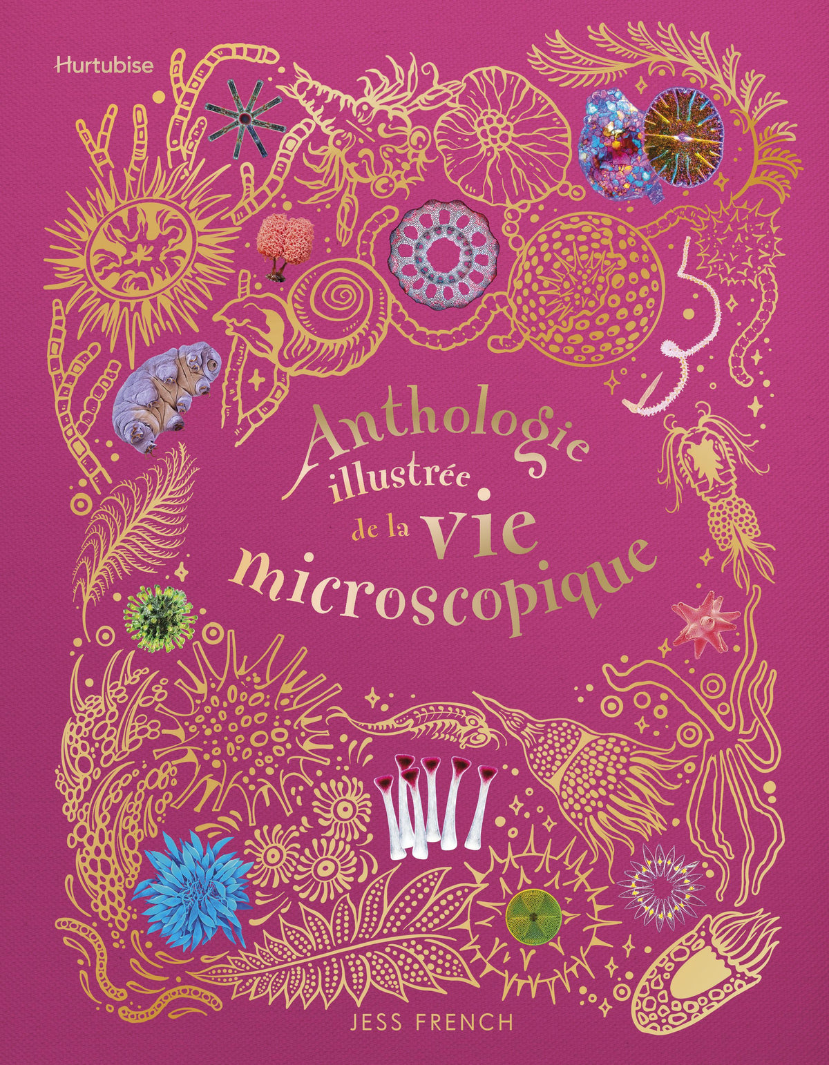 Anthologie illustrée de la vie microscopique par Jess French