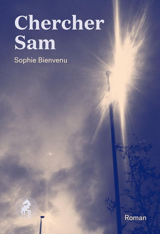 Chercher Sam par Sophie Bienvenu