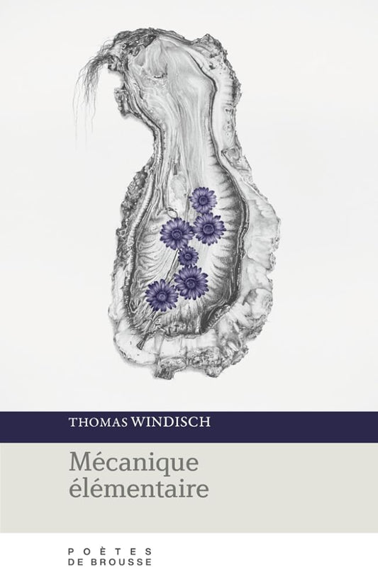 Mécanique élémentaire par Thomas Windisch