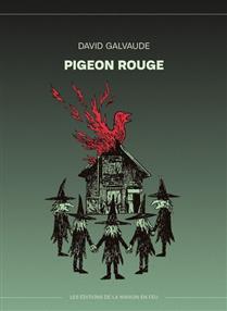 Pigeon rouge par David Galvaude