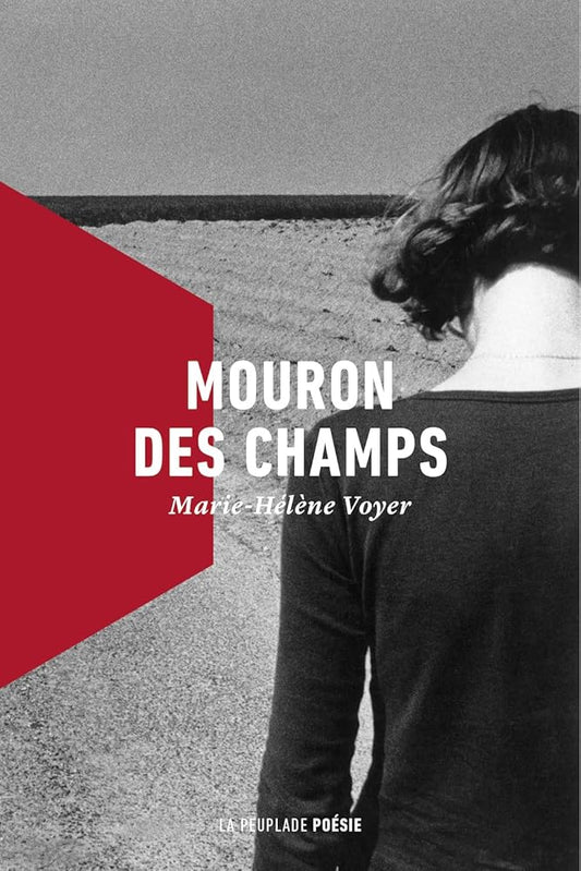 Mouron des champs par Marie-Hélène Voyer
