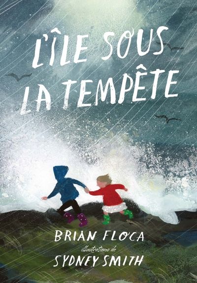L'île sous la tempête par Brian Floca