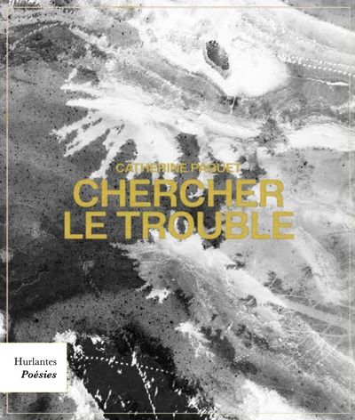 Chercher le trouble par Catherine Paquet