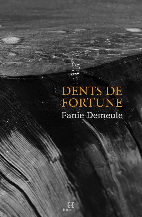 Dents de fortune livre Fanie Demeule