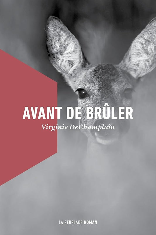Avant de brûler Virginie DeChamplain 