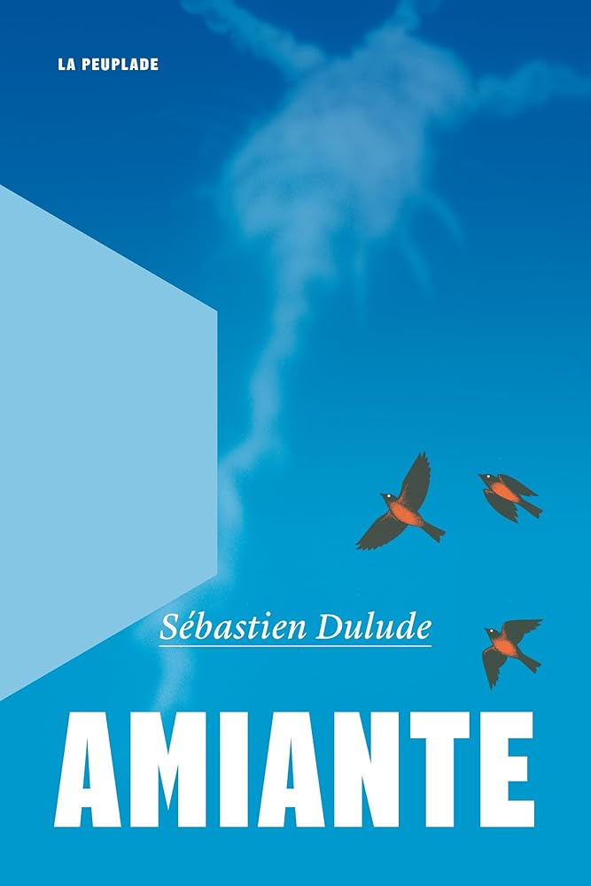 Amiante livre Sébastien Dulude