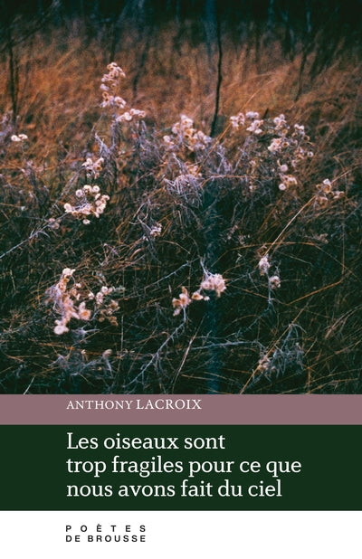 Les Oiseaux sont trop fragiles pour ce que nous avons fait du ciel par Anthony Lacroix