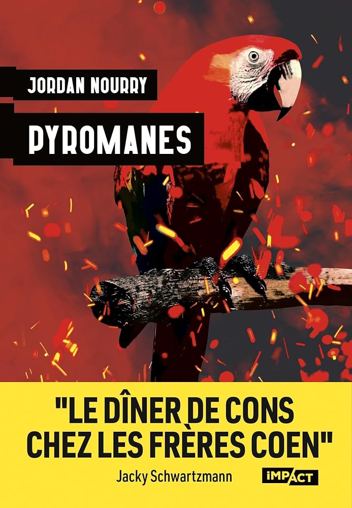 Pyromanes par Jordan Nourry