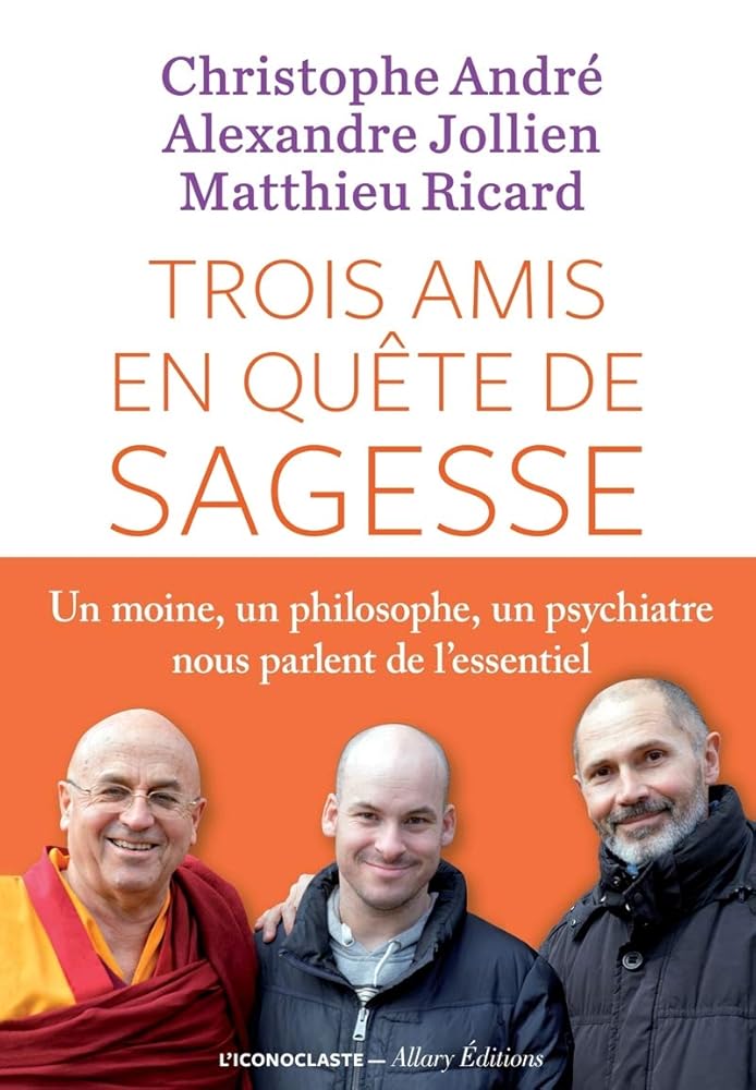 Trois amis en quête de sagesse  par Christophe André, Alexandre Jollien et Matthieu Ricard