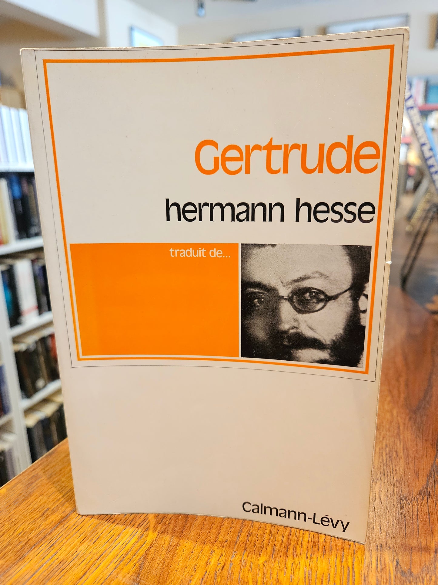 Gertrude livre Hermann Hesse